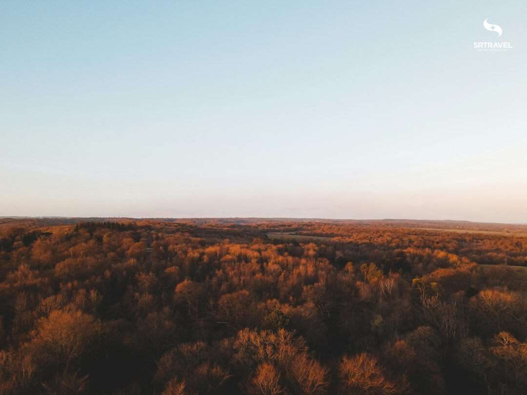 Lỗi hồ sơ thiếu sót khi xin visa Canada