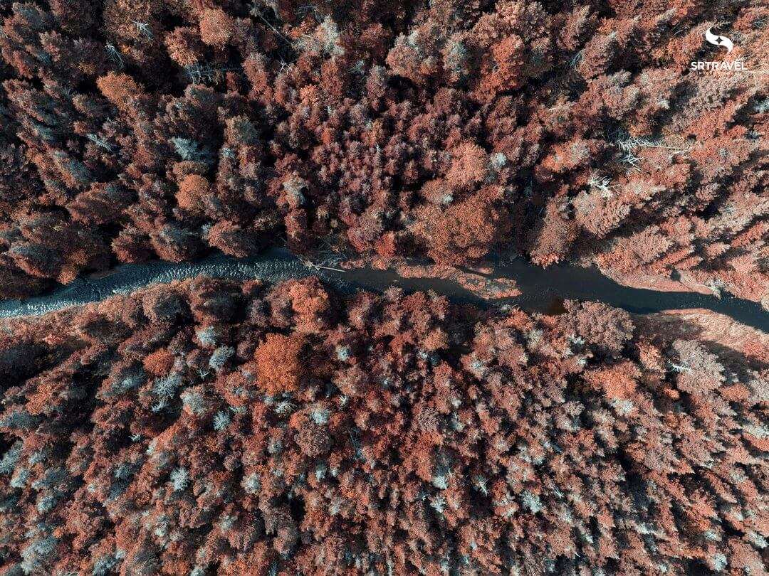 Visa Canada thời hạn